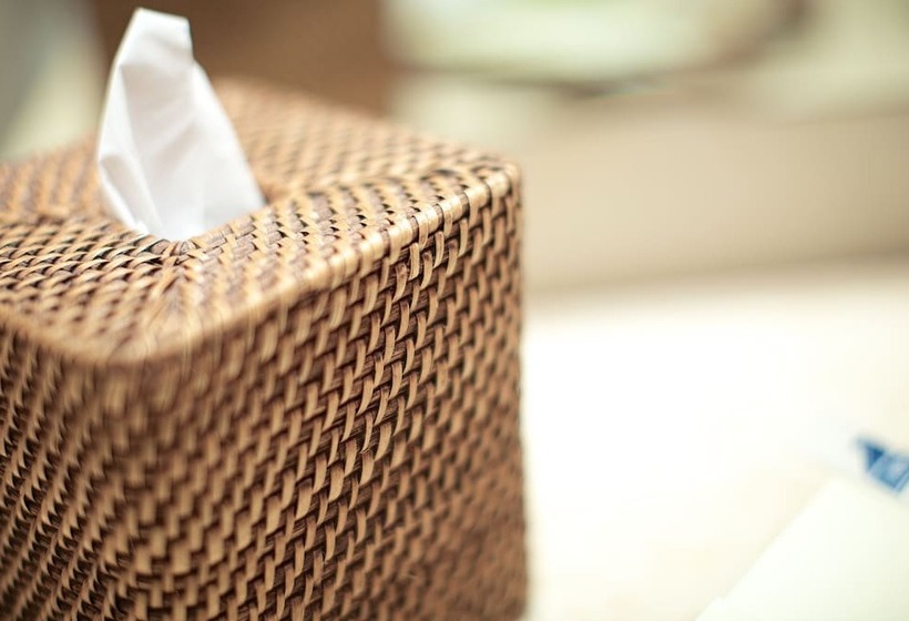 سوییت جونیور, Casablanca Belle & Boutique