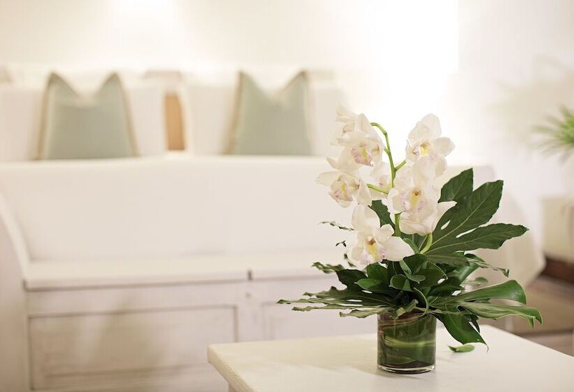 سوییت جونیور, Casablanca Belle & Boutique