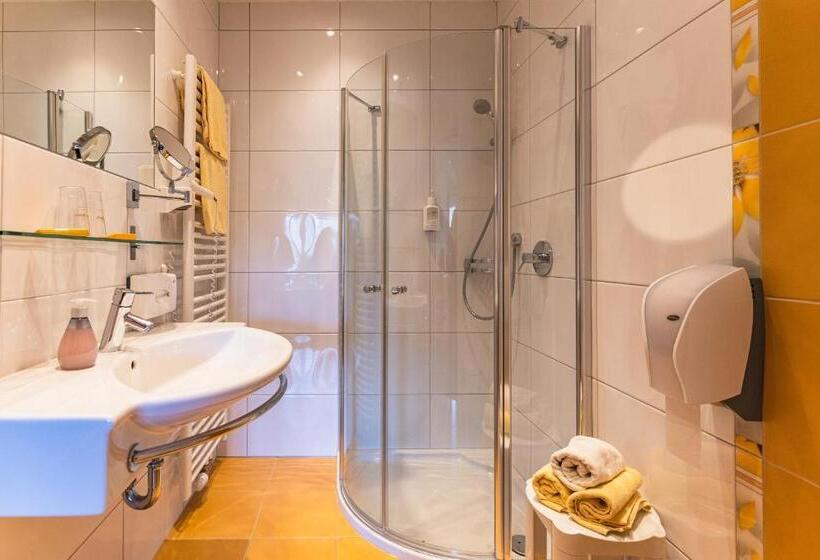 スタンダードルーム, Der Schmittenhof