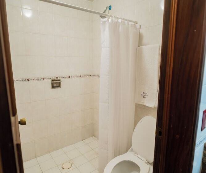 اتاق استاندارد یک نفره, Don Quijote Plaza Guadalajara Centro Historico