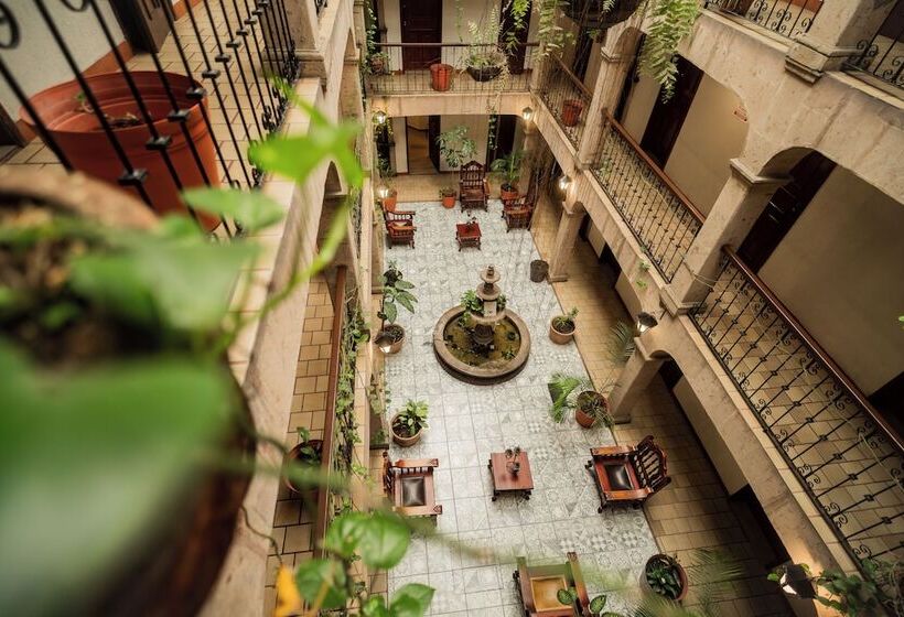 اتاق استاندارد, Don Quijote Plaza Guadalajara Centro Historico