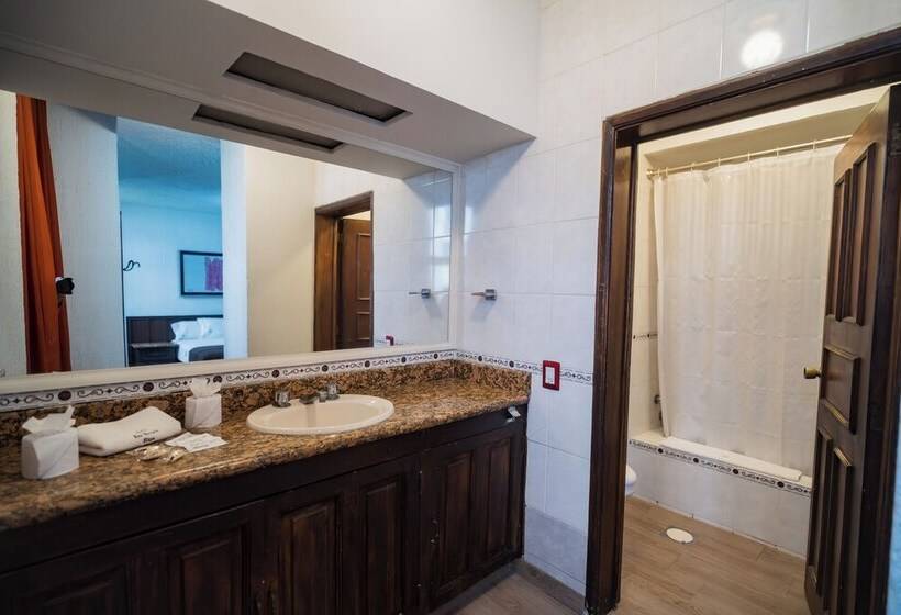 اتاق استاندارد یک نفره, Don Quijote Plaza Guadalajara Centro Historico