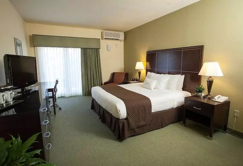 スタンダードルーム, Doubletree By Hilton Napa Valley American Canyon