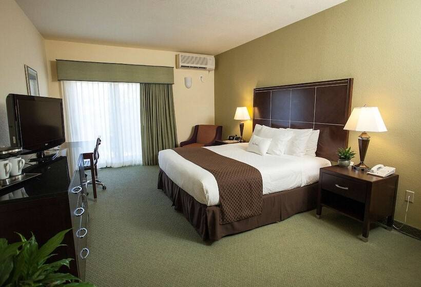 غرفة قياسية سرير مزدوج, Doubletree By Hilton Napa Valley American Canyon