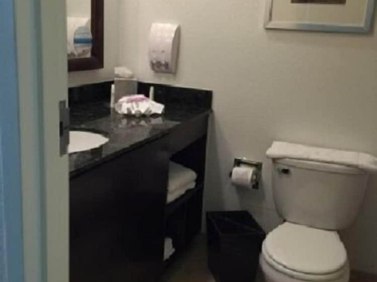 غرفة قياسية لذوى الاحتياجات الخاصة, Doubletree By Hilton Napa Valley American Canyon