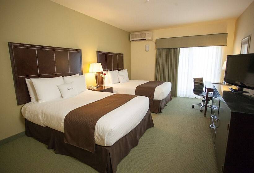 适合残疾人使用的标准间, Doubletree By Hilton Napa Valley American Canyon