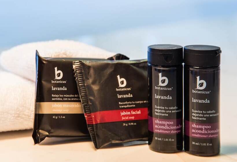 小型套房, Fiesta Inn Monterrey Tecnologico