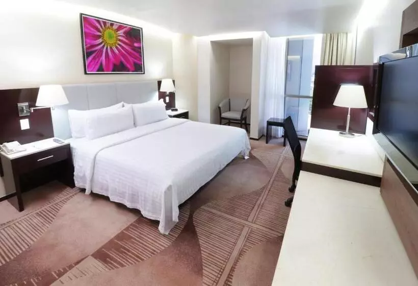 スタンダードルーム, Holiday Inn Hotel & Suites Medica Sur By Ihg