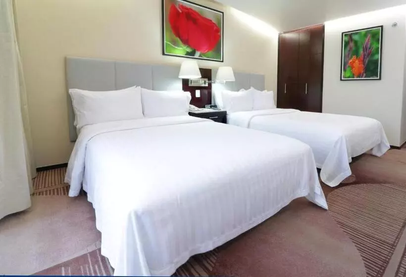 ２ダブルベッドのスタンダードルーム, Holiday Inn Hotel & Suites Medica Sur By Ihg