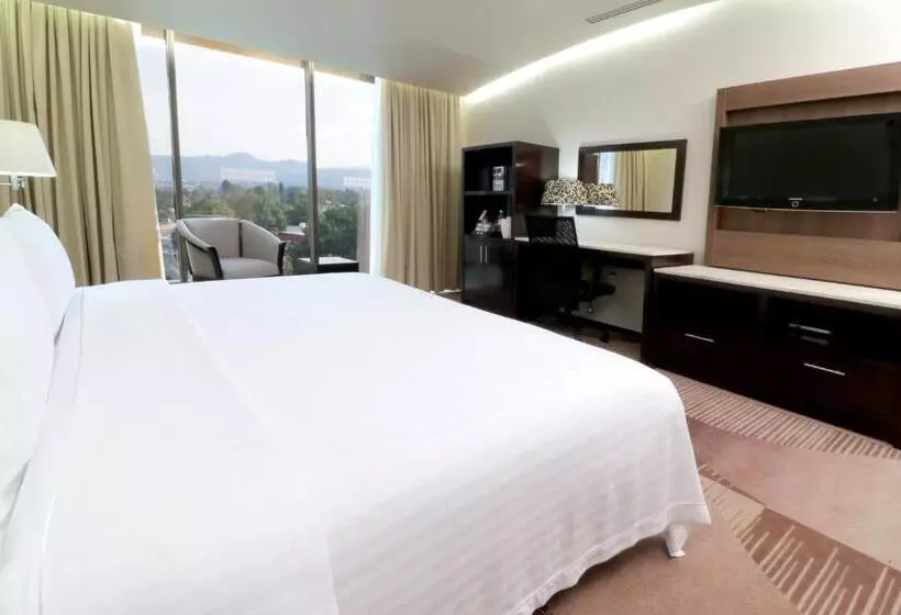 スタンダードルーム, Holiday Inn Hotel & Suites Medica Sur By Ihg