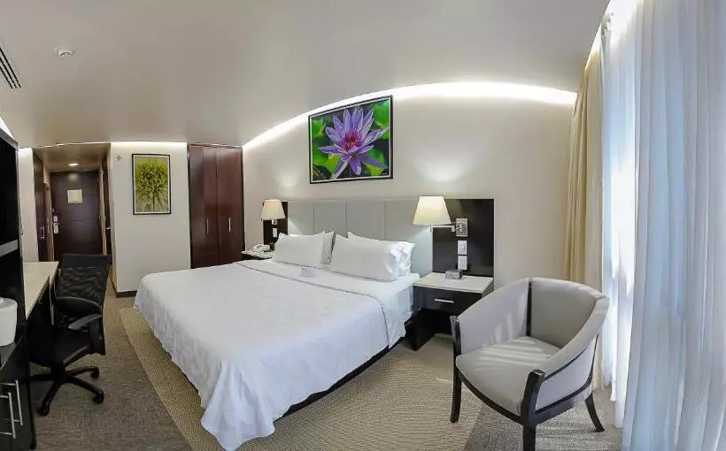 スタンダードルーム, Holiday Inn Hotel & Suites Medica Sur By Ihg