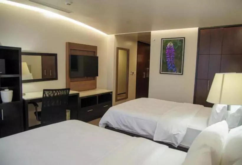 ２ダブルベッドのスタンダードルーム, Holiday Inn Hotel & Suites Medica Sur By Ihg