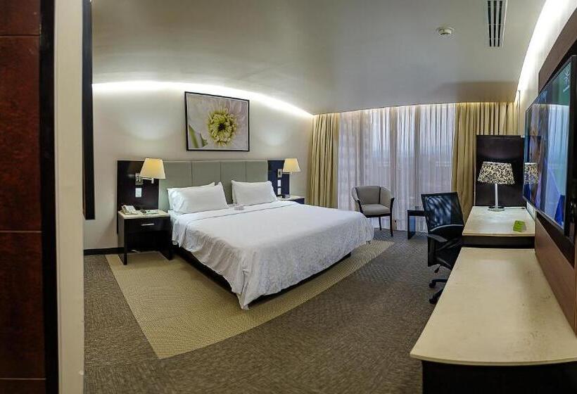 身障者適用キングサイズベッドルーム, Holiday Inn Hotel & Suites Medica Sur By Ihg