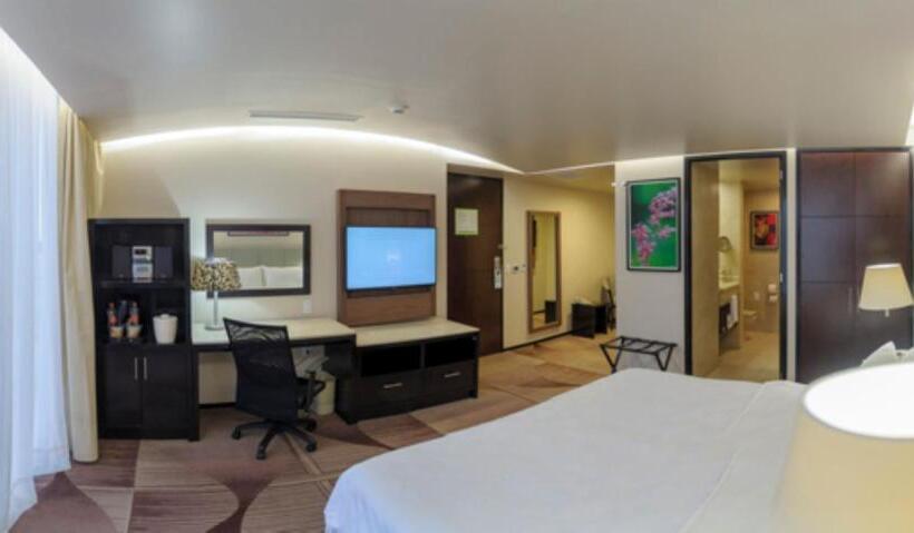 身障者適用キングサイズベッドルーム, Holiday Inn Hotel & Suites Medica Sur By Ihg