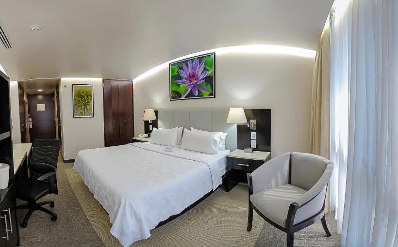 Quarto Estandar Cama King, Holiday Inn Hotel & Suites Medica Sur By Ihg