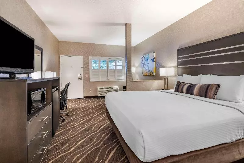 スイート, Holiday Inn Guadalajara Patria-Universidad