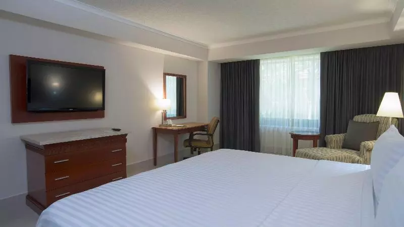 キングサイズベッドのスタンダードルーム, Holiday Inn Tuxtla Gutierrez By Ihg