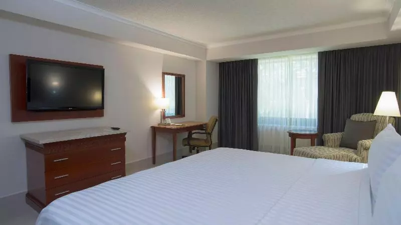 キングサイズベッドのスタンダードルーム, Holiday Inn Tuxtla Gutierrez By Ihg