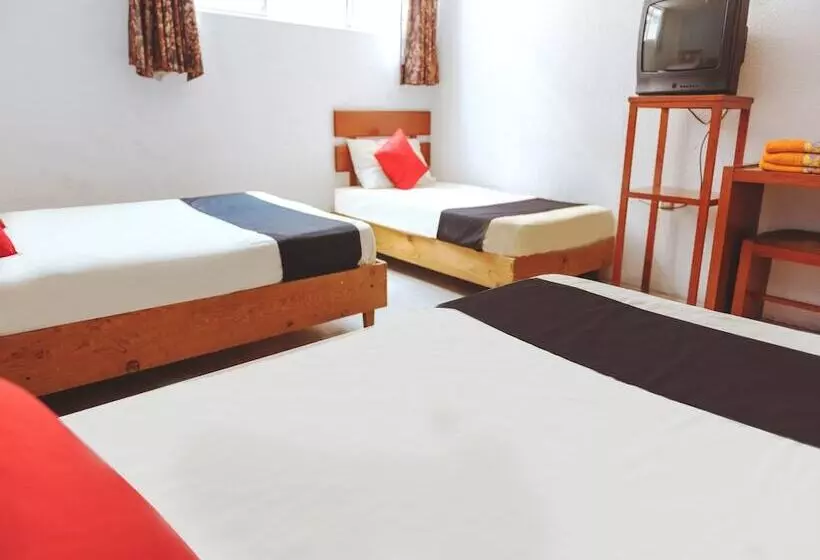 スタンダード4人部屋, Hotel Italia