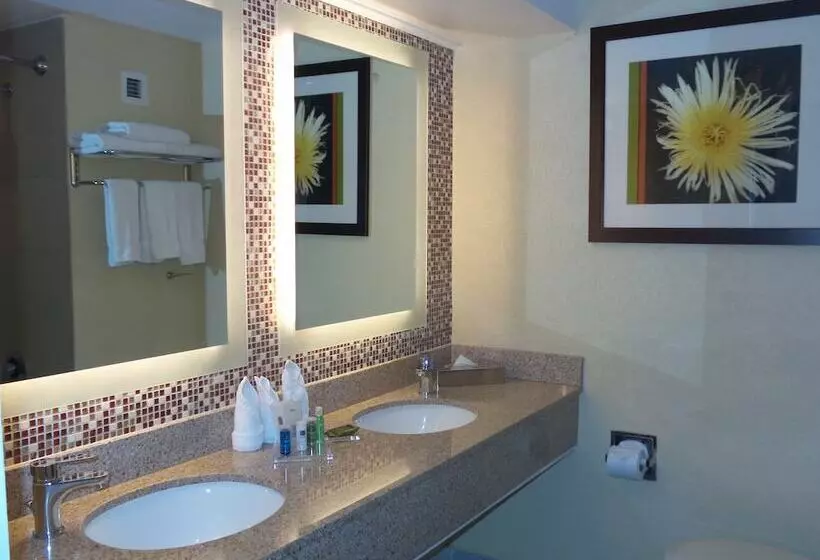 اتاق استاندارد با تخت دوبل و چشم‌انداز, Radisson Aquatica Resort Barbados