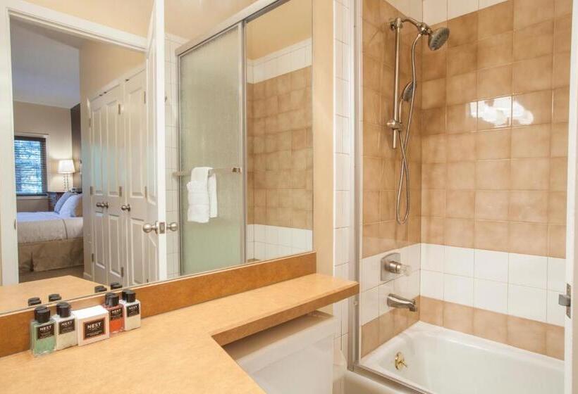 ویلا پریمیوم 3 خوابه, Villas At Snowmass Club