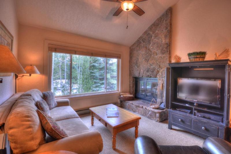 ویلای لوکس 1 خوابه, Villas At Snowmass Club