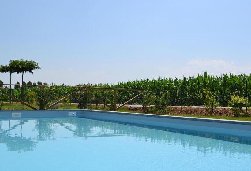 غرفة قياسية, Corte Reginella