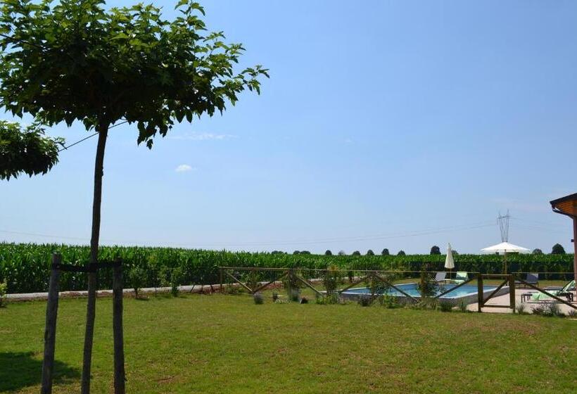 غرفة قياسية, Corte Reginella