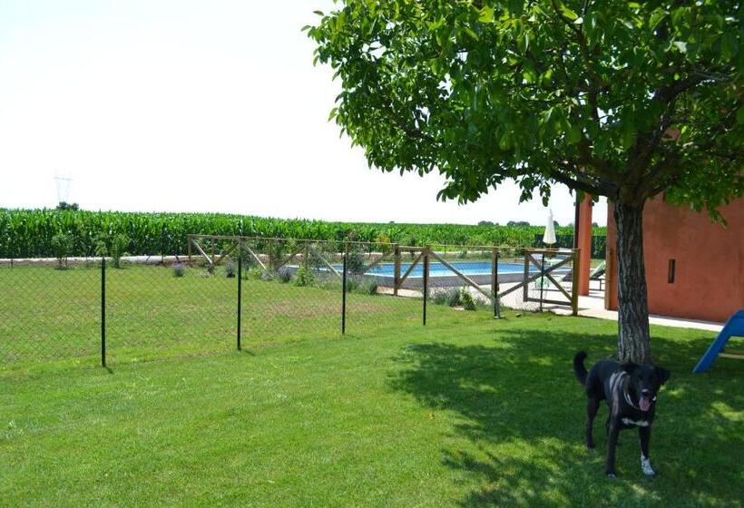 غرفة قياسية, Corte Reginella