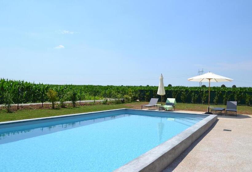 غرفة قياسية, Corte Reginella