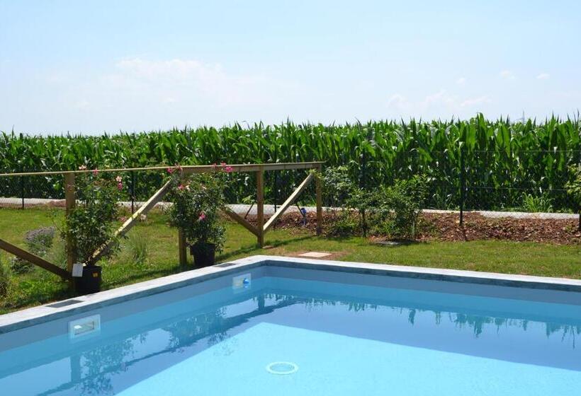 شقة غرفتين, Corte Reginella