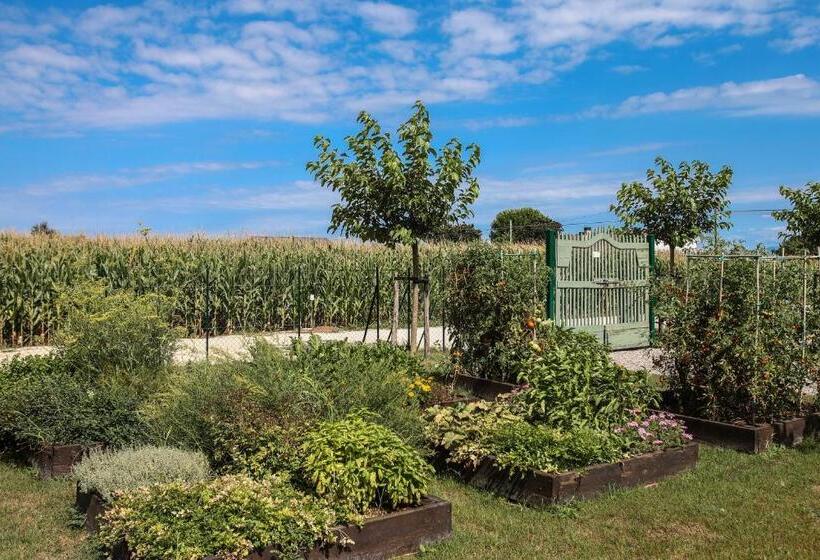 غرفة قياسية, Corte Reginella