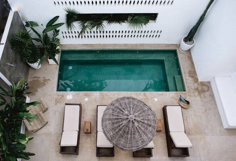 Люкс Мастер, Residencia Tropical Don Bonito