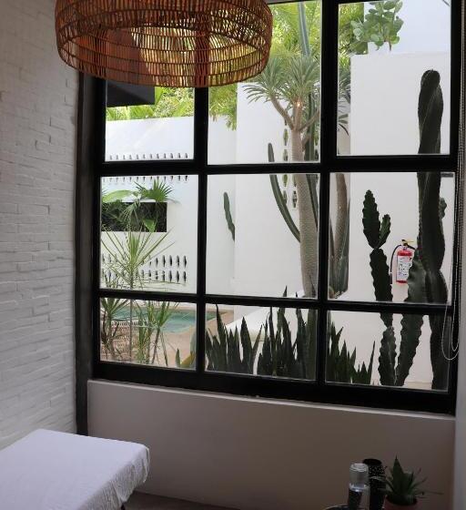 Люкс Мастер, Residencia Tropical Don Bonito