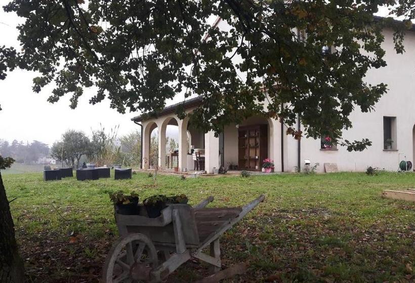 エコノミールーム, Beb Montefratta