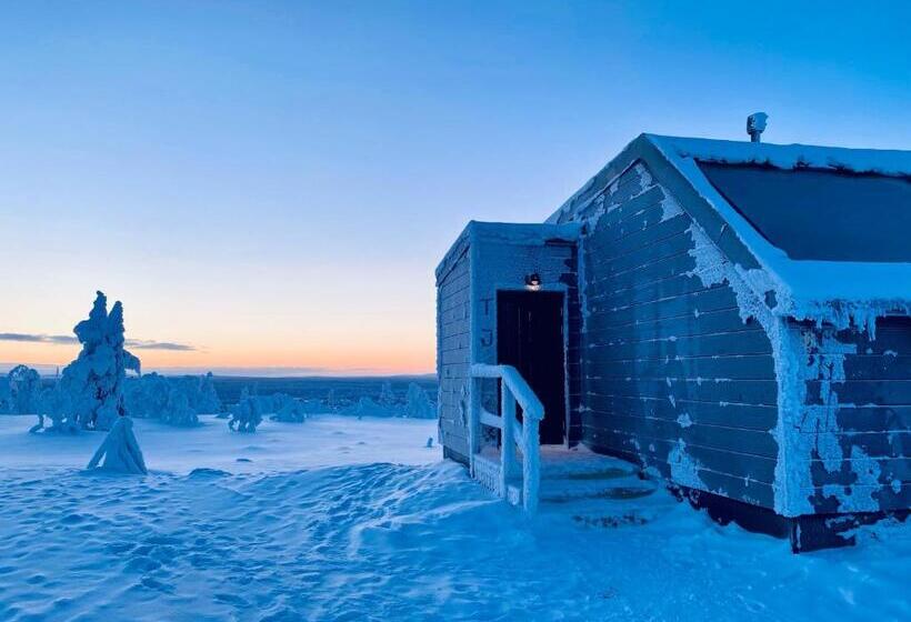 Люкс с Видом, Aurora Collection