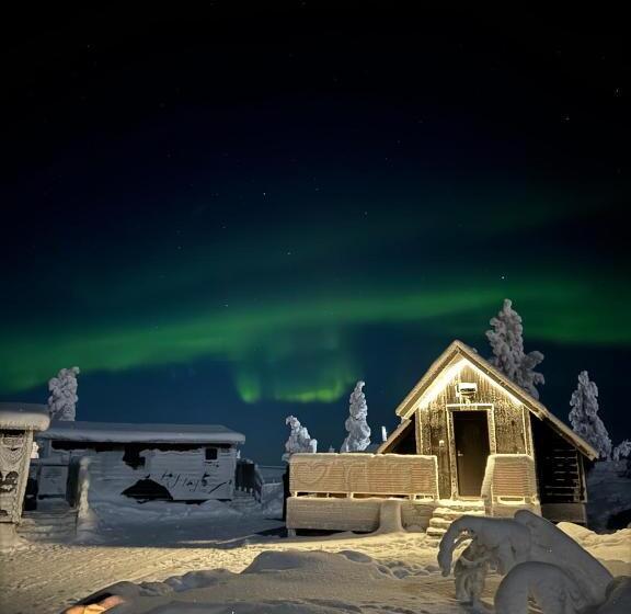 Полулюкс, Aurora Collection