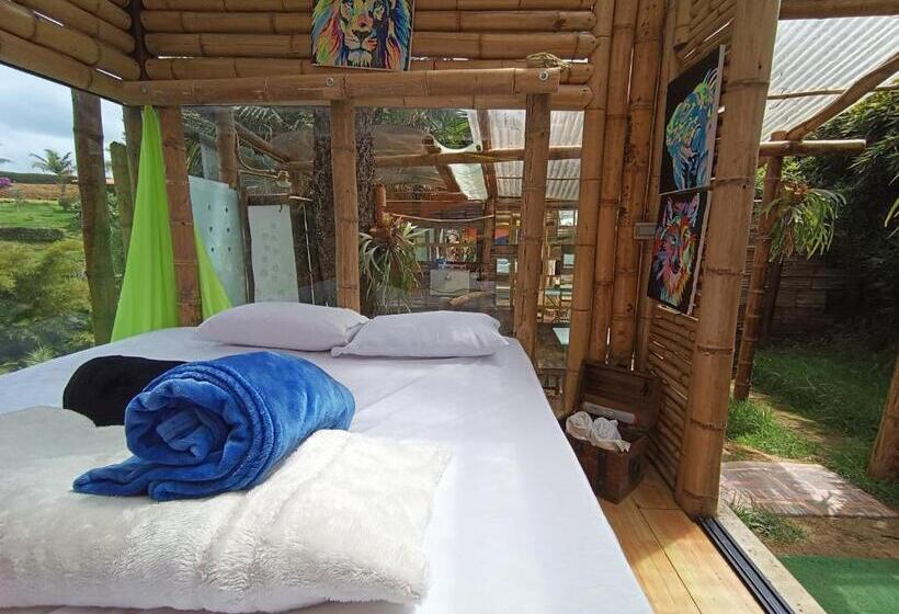 בונגלו סטנדרט עם נוף לגינה, Biohotel Ecohouse