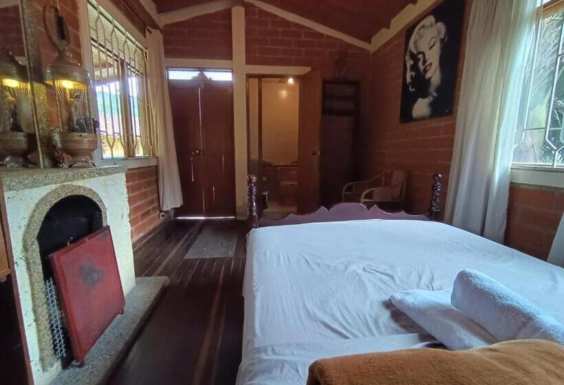 חדר סטנדרט, Biohotel Ecohouse