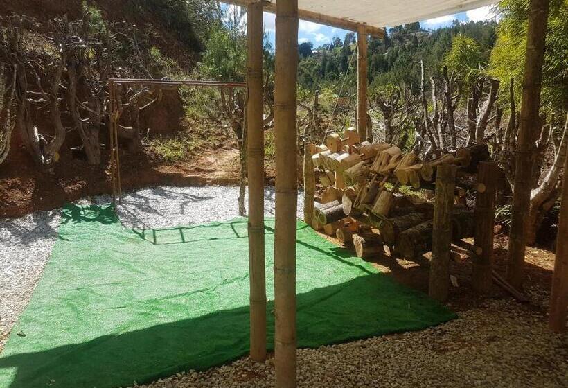 חדר סטנדרט, Biohotel Ecohouse