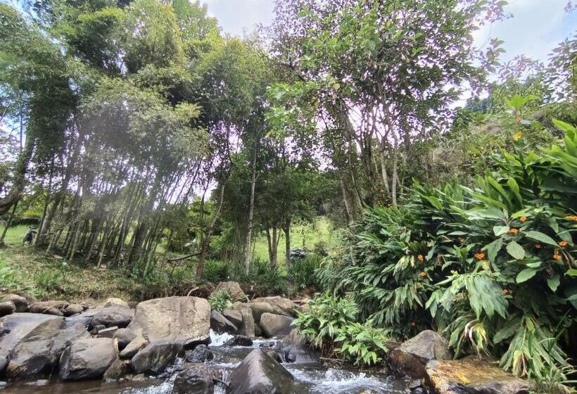 בקתת חדר, Biohotel Ecohouse