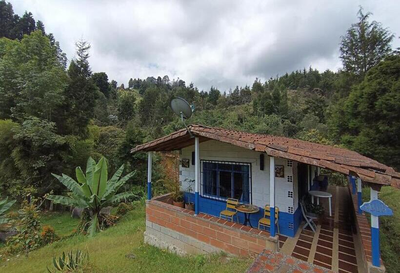 בקתת חדר, Biohotel Ecohouse