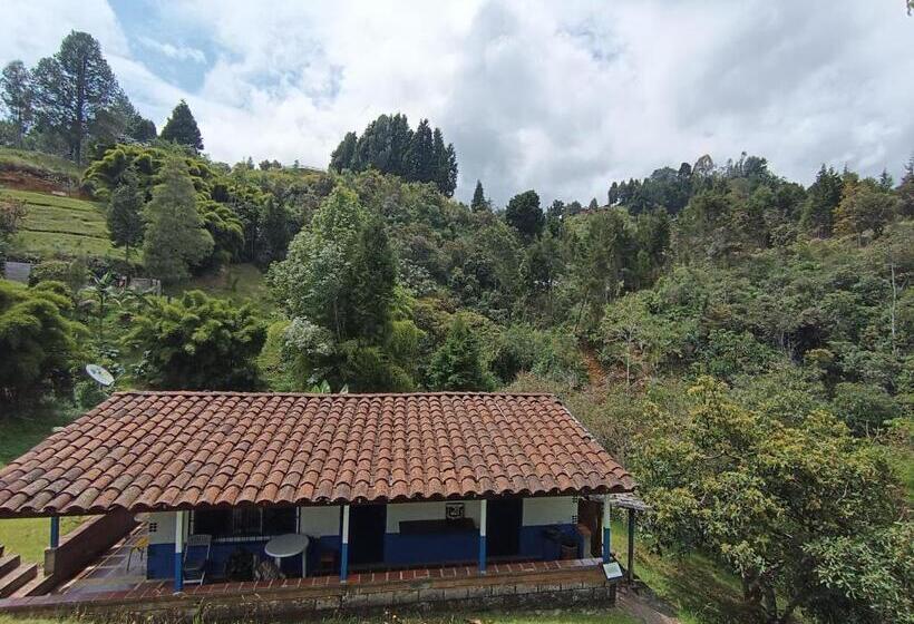 샬레, Biohotel Ecohouse
