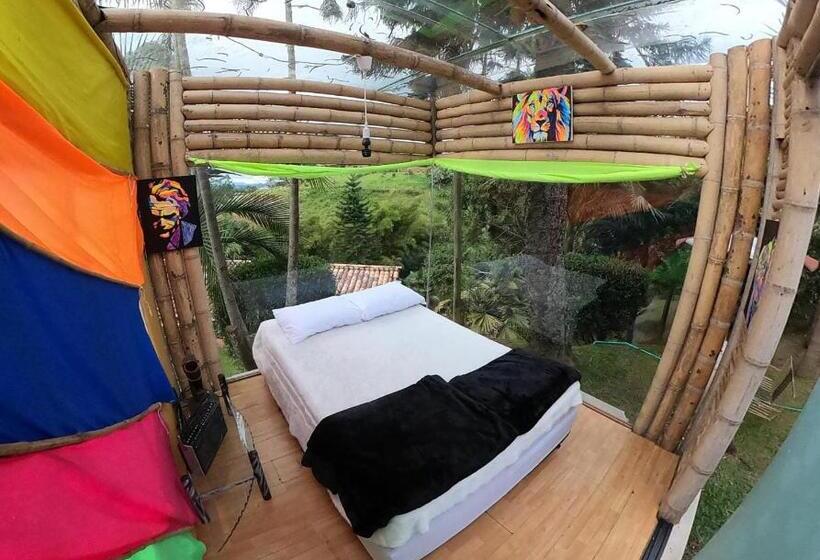 בונגלו סטנדרט עם נוף לגינה, Biohotel Ecohouse