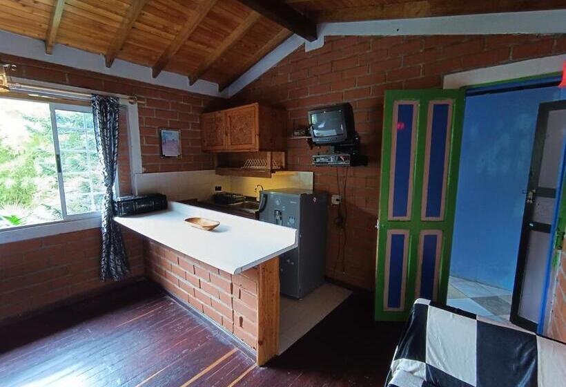 חדר סטנדרט, Biohotel Ecohouse