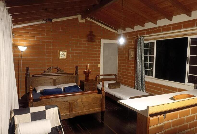 标准间, Biohotel Ecohouse