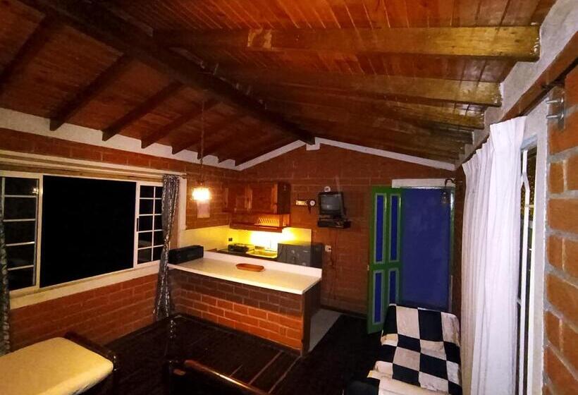 חדר סטנדרט, Biohotel Ecohouse