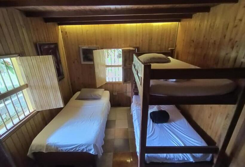 家庭间, Biohotel Ecohouse