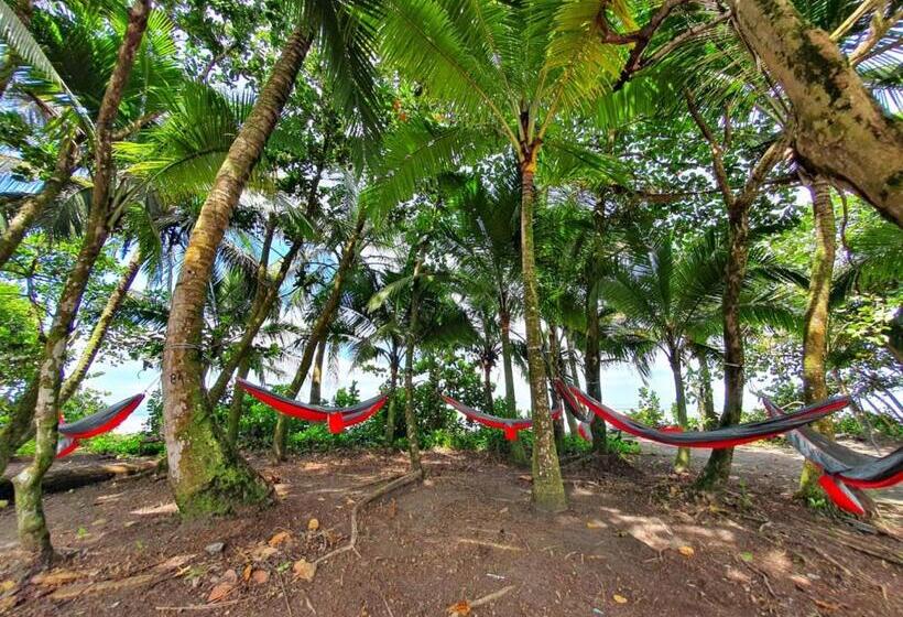 اتاق استاندارد چهار تخته, Caribbean View House