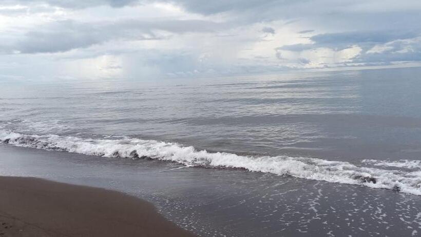 اتاق استاندارد, Caribbean View House